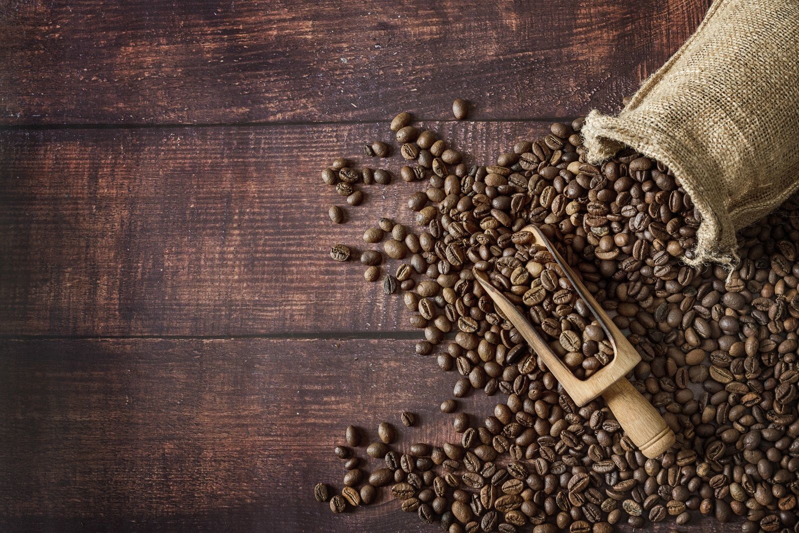 coffee beans roasted in a sack with scoop on wooden table background